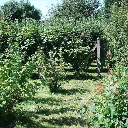Le Clos Des Tilleuls La Vendelée Eksteriør bilde