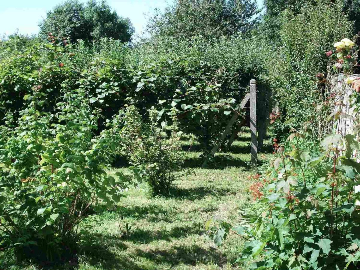 Le Clos Des Tilleuls La Vendelée Eksteriør bilde