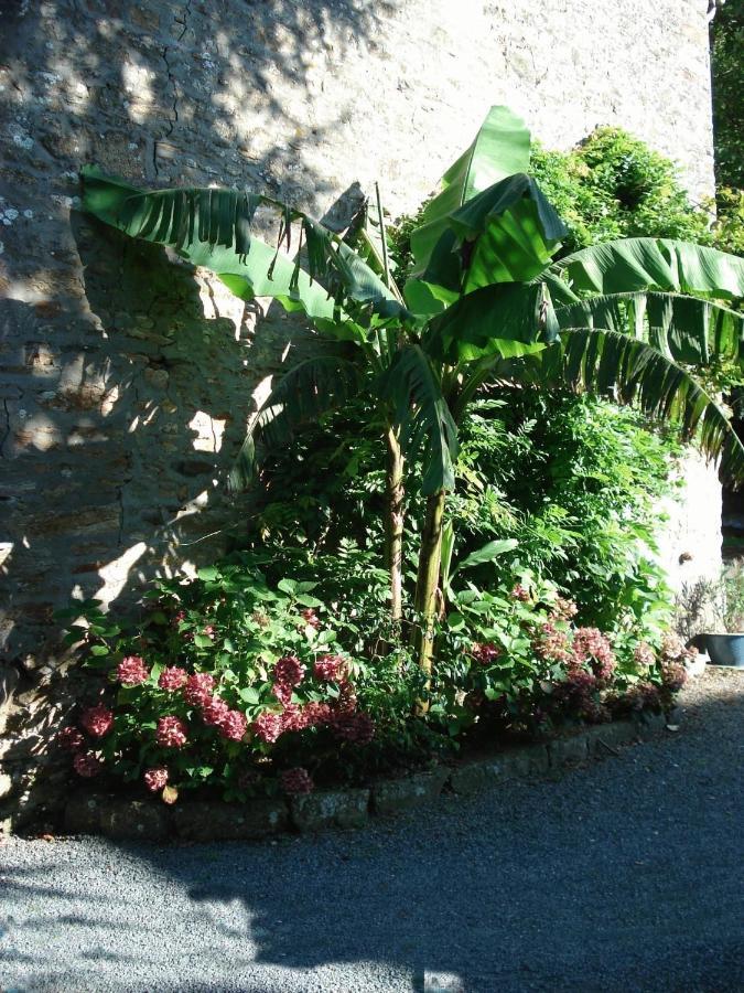 Le Clos Des Tilleuls La Vendelée Eksteriør bilde